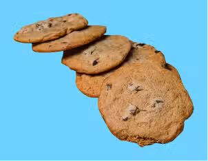 chocolate chip cookie